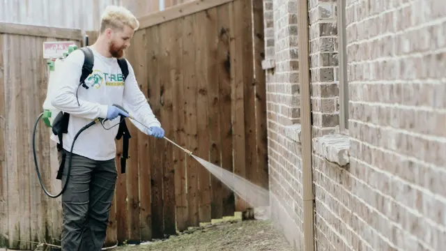 T-Rex Pest Control — photo from the business 1
