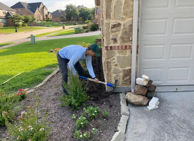 T-Rex Pest Control — photo from the business 3