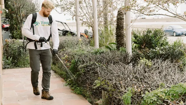 T-Rex Pest Control — photo from the business 7