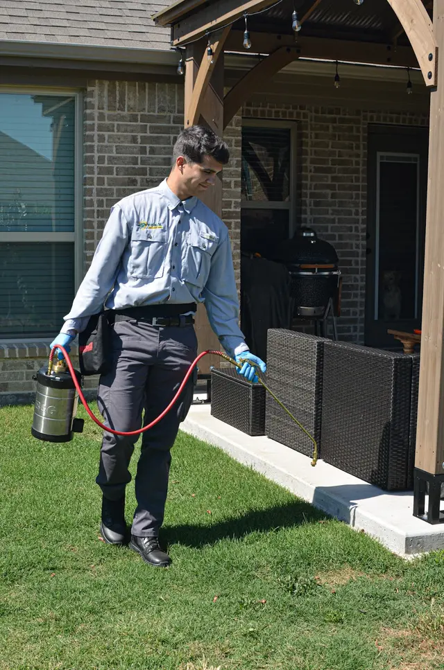 T-Rex Pest Control — photo from the business 12