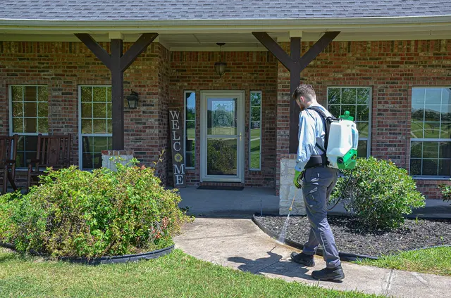 T-Rex Pest Control — photo from the business 9