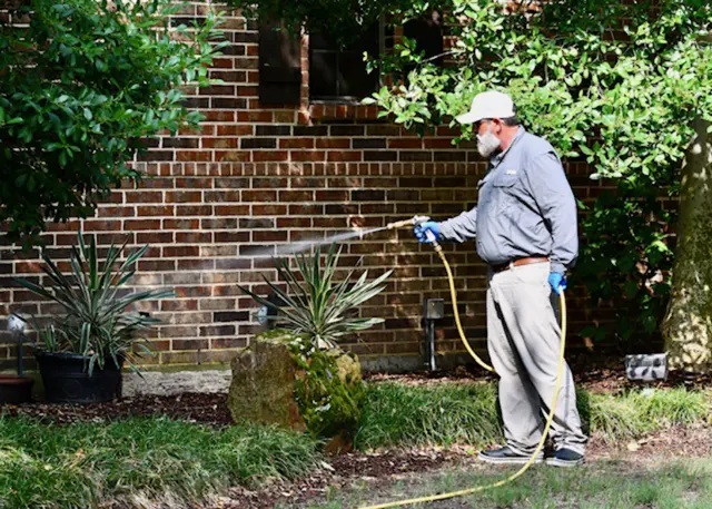 Home Run Pest & Termite Control — photo from the business 5