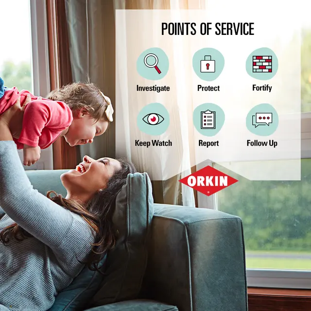 Orkin — photo from the business 5