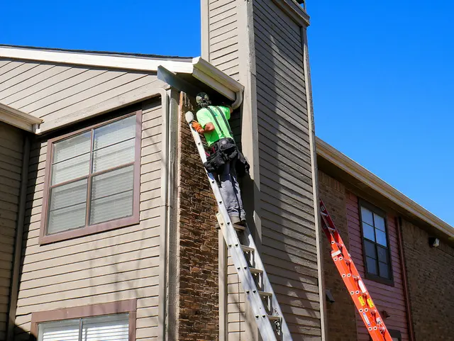 All Pest Solutions — photo from the business 2