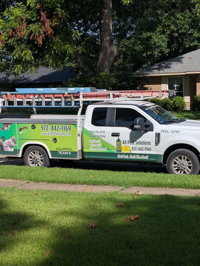 All Pest Solutions — customer photo 5