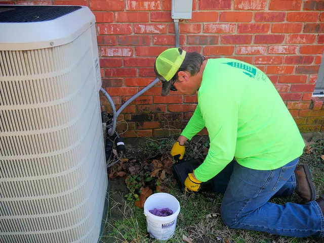 All Pest Solutions — photo from the business 3