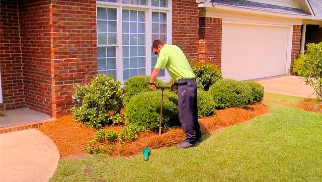 All Pest Solutions — photo from the business 4