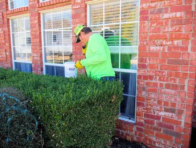 All Pest Solutions — photo from the business 9