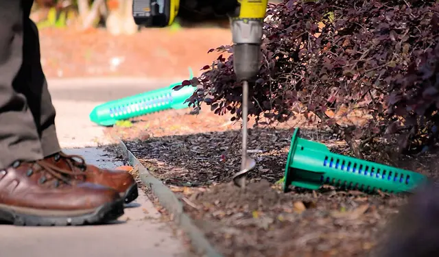 All Pest Solutions — photo from the business 11