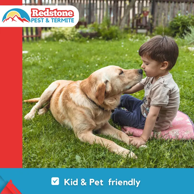 Redstone Pest & Termite Control — photo from the business 3