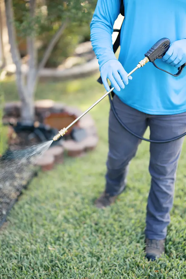 WeServe Pest Solutions — photo from the business 5