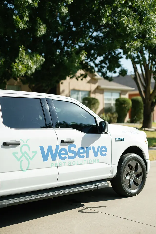 WeServe Pest Solutions — photo from the business 1