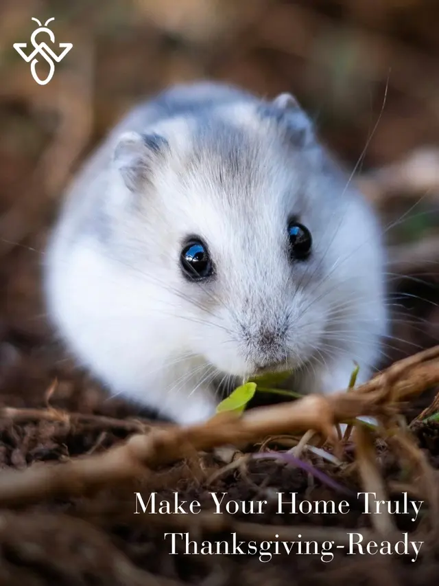 WeServe Pest Solutions — photo from the business 11