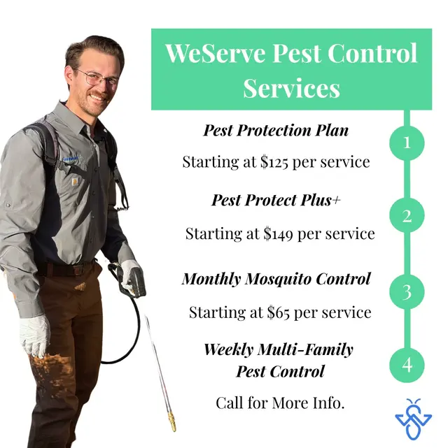 WeServe Pest Solutions — photo from the business 9