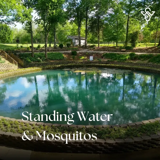 WeServe Pest Solutions — photo from the business 7