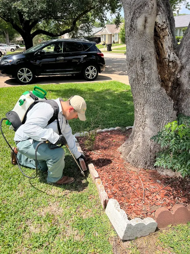 All-Safe Pest & Termite — photo from the business 4