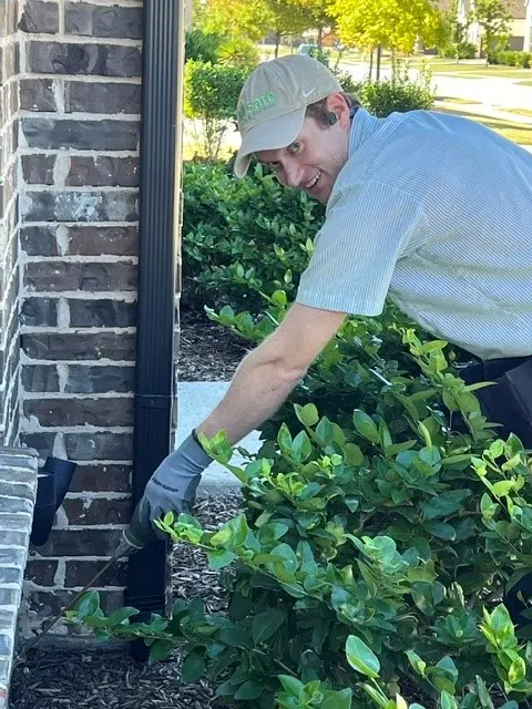 All-Safe Pest & Termite — photo from the business 2