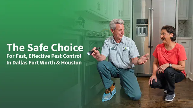 All-Safe Pest & Termite — photo from the business 1