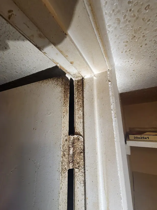 TOPFLIGHT Pest Control — photo from the business 10