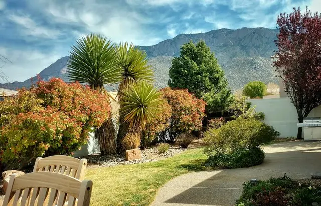 Red Shovel Landscape — photo from the business 5