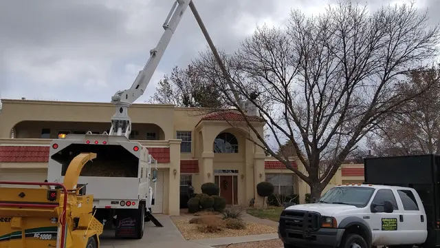 Robert's Tree Service LLC — photo from the business 1