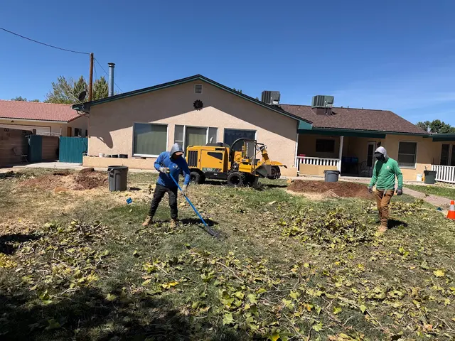 Robert's Tree Service LLC — photo from the business 7