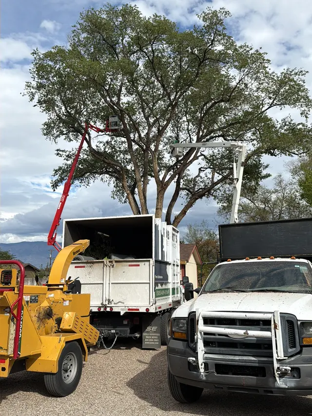 Robert's Tree Service LLC — photo from the business 4