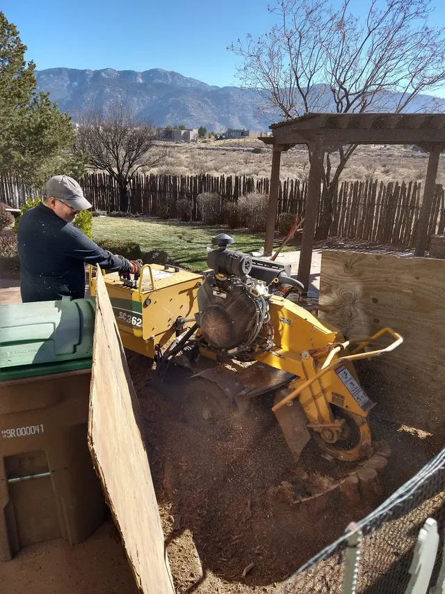 Robert's Tree Service LLC — photo from the business 10