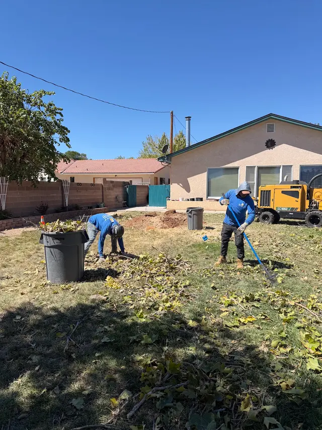 Robert's Tree Service LLC — photo from the business 5