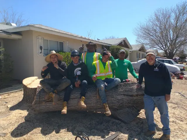 Robert's Tree Service LLC — photo from the business 9