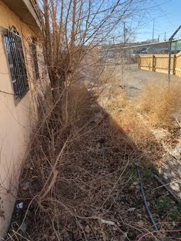 Davids Tree Removal and yard maintenance — customer photo 9