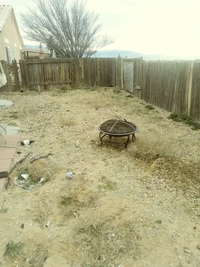 Davids Tree Removal and yard maintenance — customer photo 2