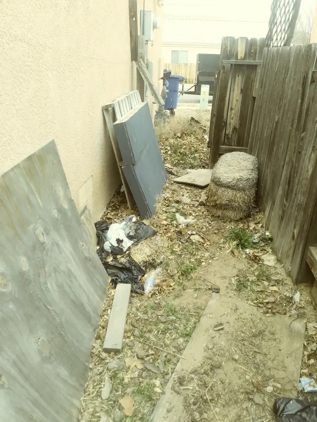 Davids Tree Removal and yard maintenance — customer photo 11