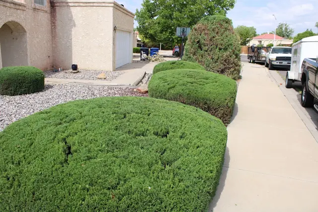 PlatinumGarden Landscaping — photo from the business 4