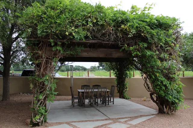 PlatinumGarden Landscaping — photo from the business 12