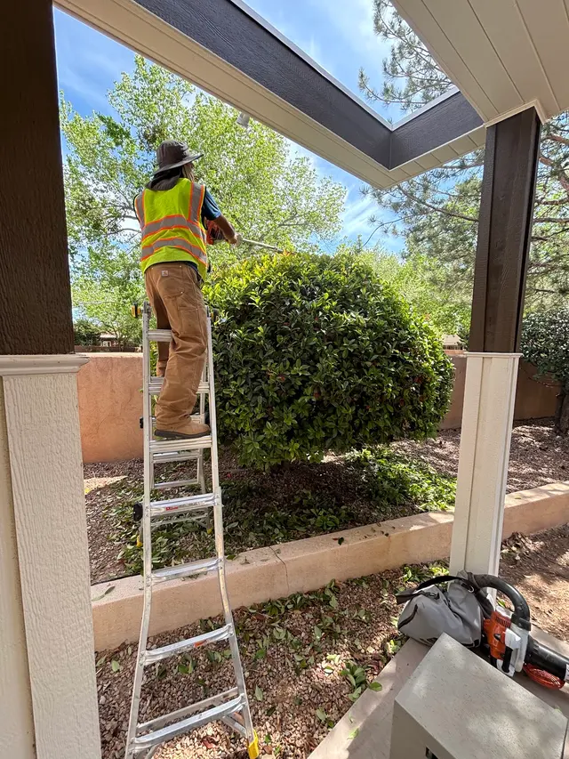 PlatinumGarden Landscaping — photo from the business 3