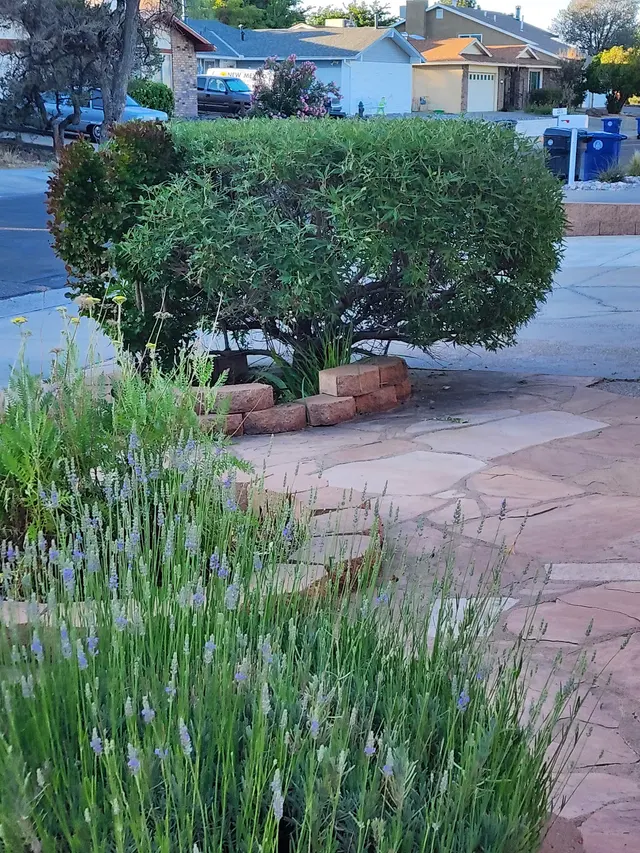 Customer photo of work by PlatinumGarden Landscaping, from Georgena Felicia's review