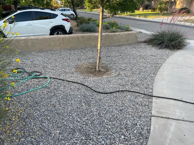 PlatinumGarden Landscaping — customer photo 1