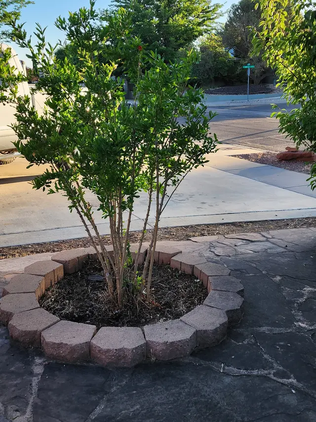 Customer photo of work by PlatinumGarden Landscaping, from Georgena Felicia's review