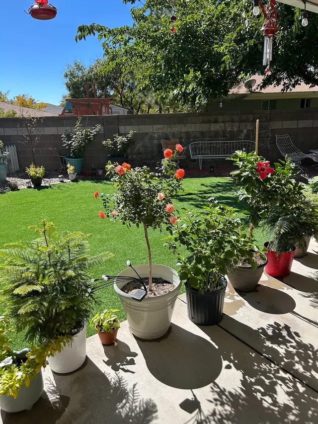 Arborscapes Ground Maintenance and Landscaping, LLC — customer photo 10