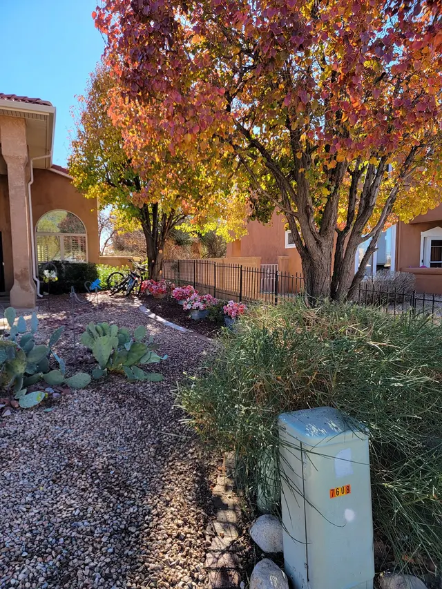 Arborscapes Ground Maintenance and Landscaping, LLC — customer photo 2