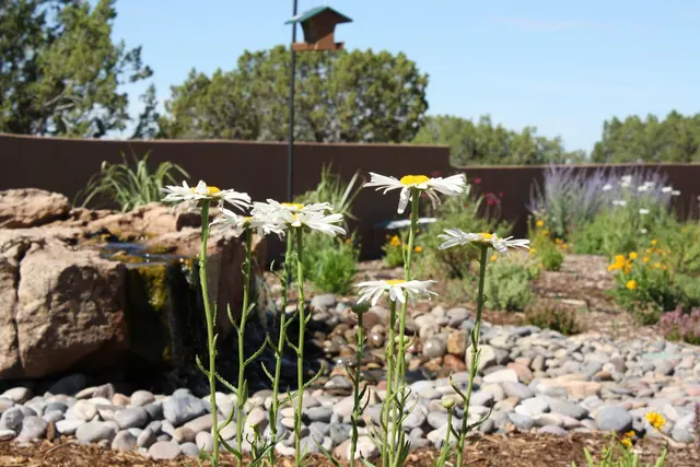 Whelchel Landscaping & Construction — photo from the business 8