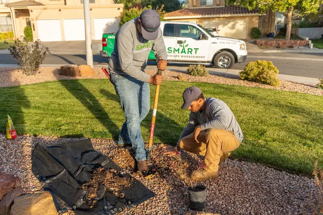 SMART Landscape — photo from the business 9