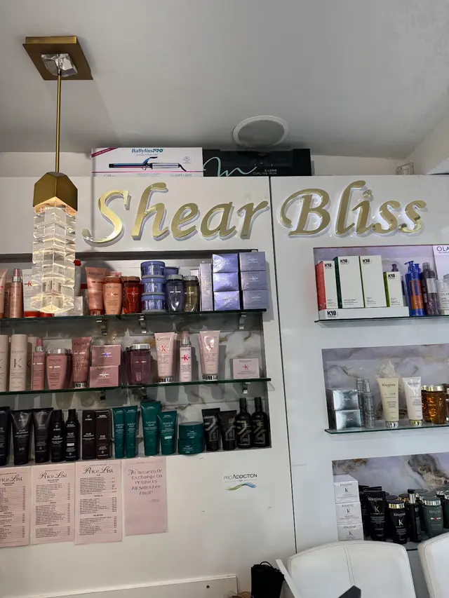 Shear Bliss NYC Salon — photo from the business 1