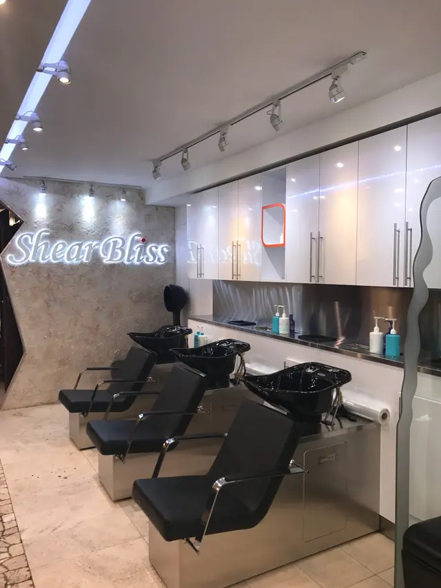 Shear Bliss NYC Salon — photo from the business 2