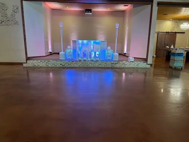 Dance and Joy Entertainment — photo from the business 9
