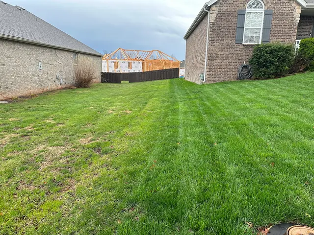 Customer photo from Justin's review