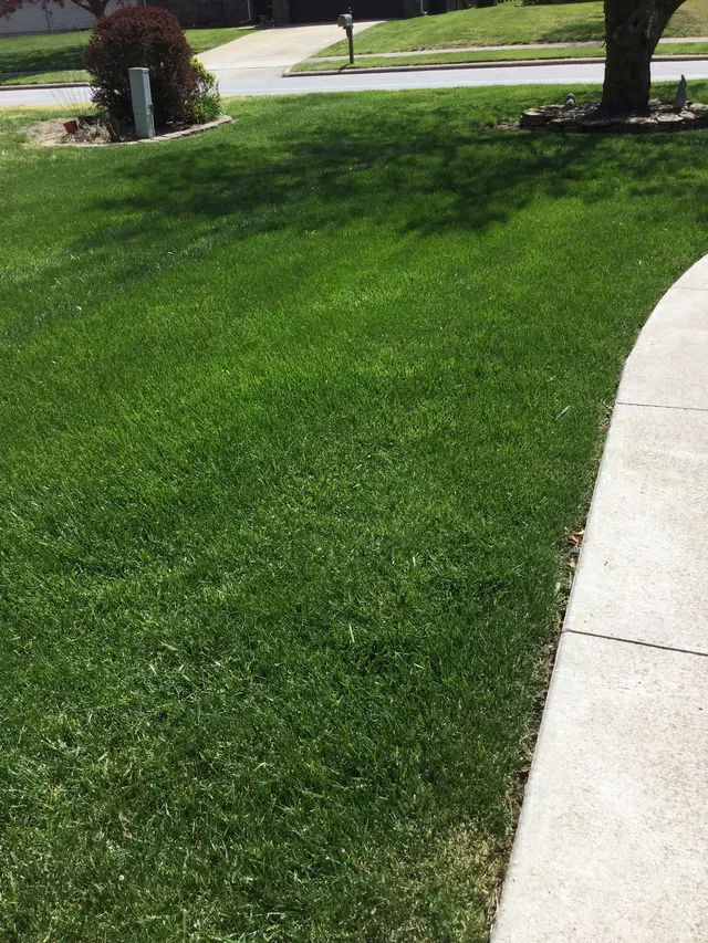 Customer photo from Bryan's review