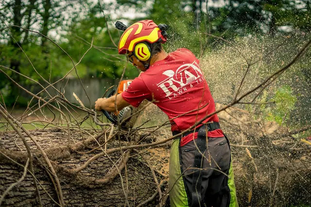 Ryan Lawn & Tree — photo from the business 6