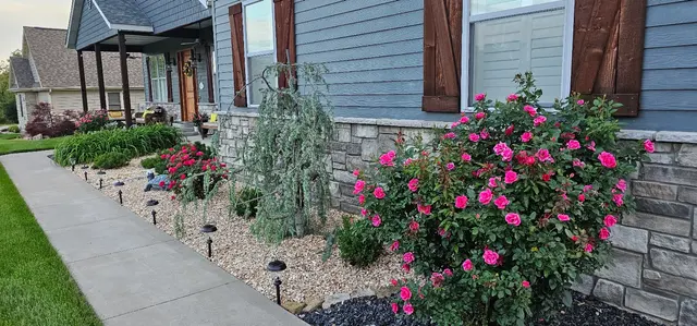 Customer photo from Lynda's review